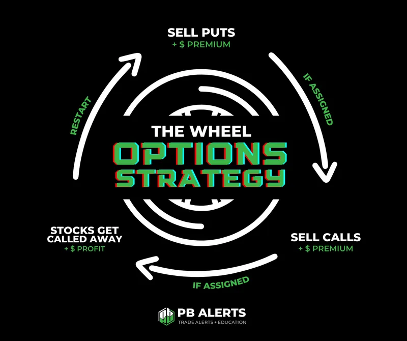PB Premium — SwingingBull Coaching Program · screenshot 2 of 5