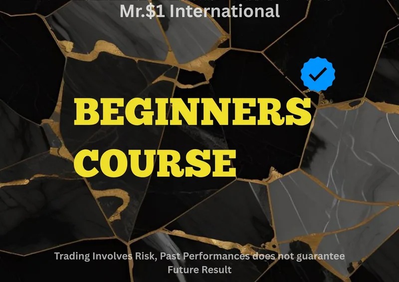 Mr One Dollar International — Beginners Course · screenshot 1 of 1