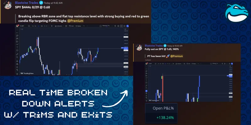 Blastoise's Premium — Blastoise's 1 on 1 Mentorship · screenshot 2 of 6
