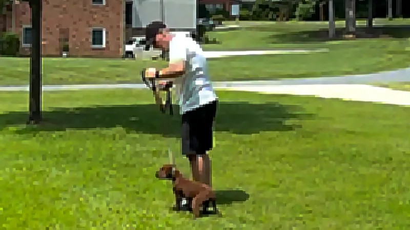 Tripper's Dog Training — Tripper’s Basic Obedience · screenshot 3 of 3
