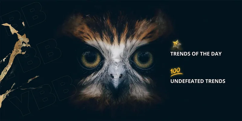 Your Best Bet ! — YBB Night Owl Week Pass · screenshot 3 of 4