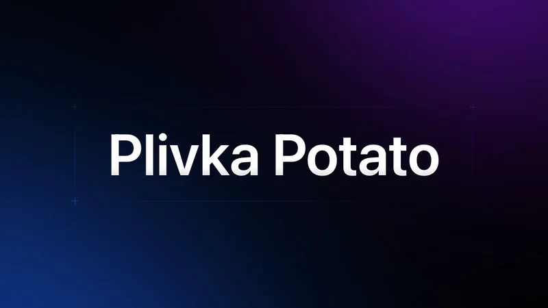 Plivka Potato — Plivka Potato AI Code Co-Pilot · screenshot 1 of 1