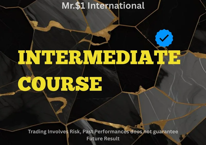 Mr One Dollar International — Intermediate COURSE · screenshot 1 of 1