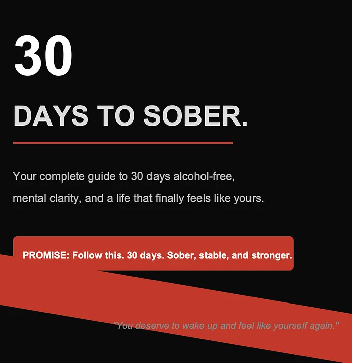 Ninja Mindset — 30 Days to Sober — The Complete Guide to Quitting Alcohol for Good · screenshot 1 of 1