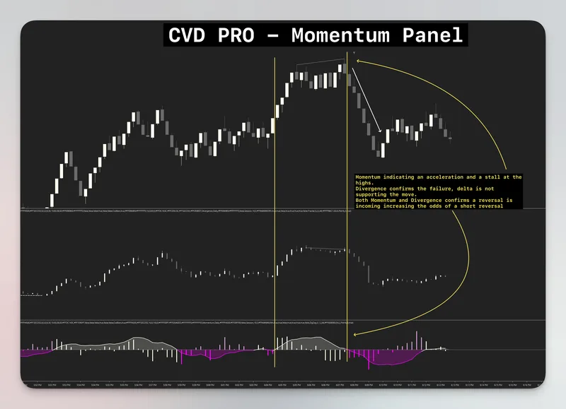 WickLabs — Cumulative Delta Divergence PRO - NT8 · screenshot 3 of 4