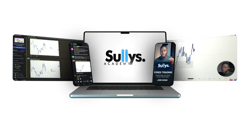 Sully's Academy — P.A.C.E Protocol Program · screenshot 1 of 5
