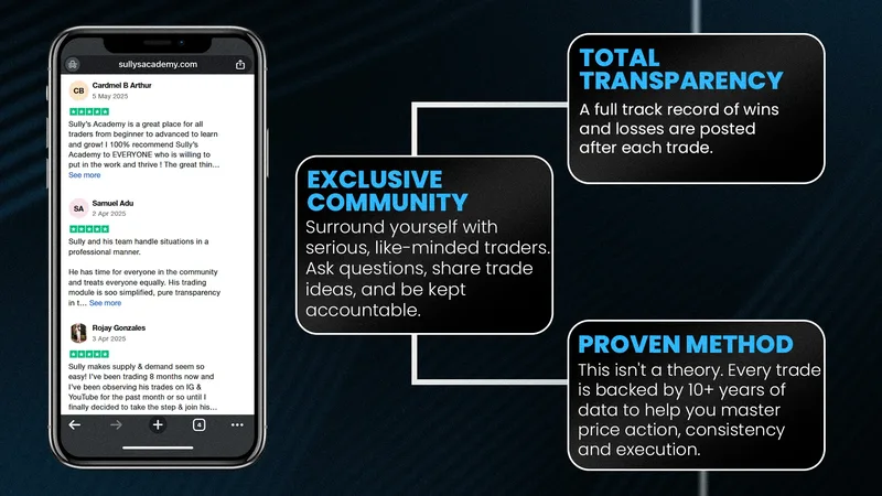 Sully's Academy — P.A.C.E Protocol Program · screenshot 4 of 5