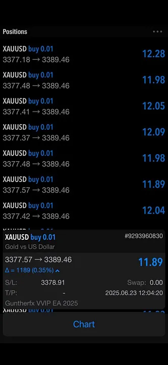 Black Market EA — GuntherFX Bot MT5 · screenshot 2 of 2