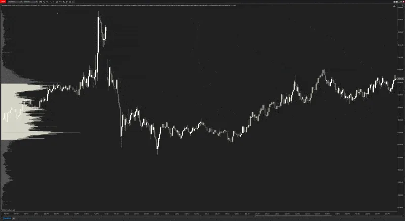 WickLabs — Volume Profile Suite PRO - NT8 Indicator · screenshot 4 of 4