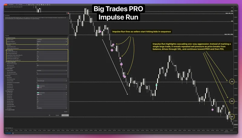 WickLabs — Big Trades PRO - NT Bubble Indicator · screenshot 2 of 4