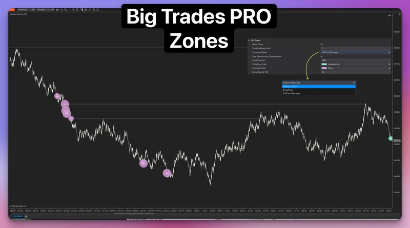 WickLabs — Big Trades PRO - NT Bubble Indicator · screenshot 4 of 4