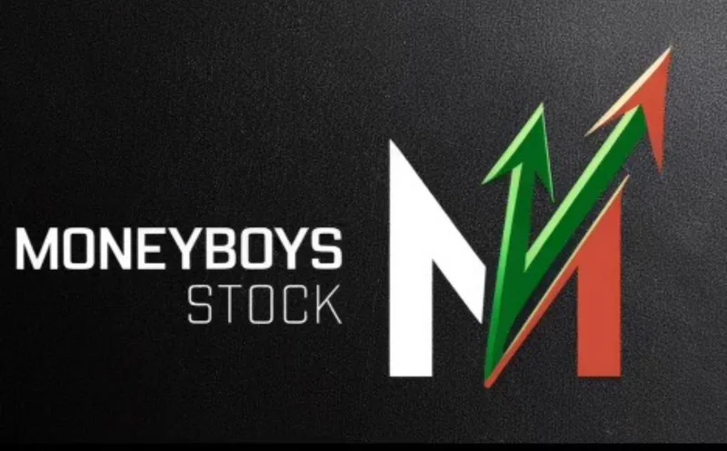 MoneyBoys Stock — MoneyBoys Stock Premium · screenshot 3 of 3