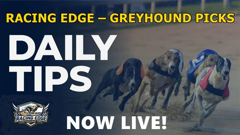Racing Edge 🏇 — RACING EDGE Private Greyhound Tips · screenshot 1 of 1