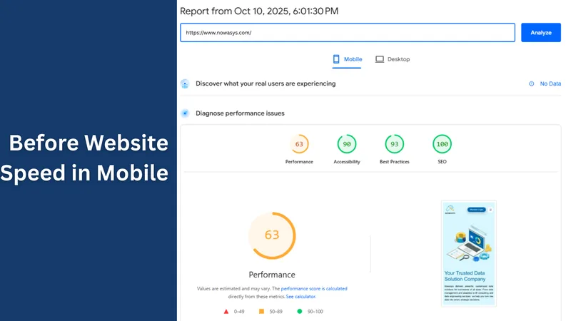 Nowasys — Website Performance Program · screenshot 3 of 6