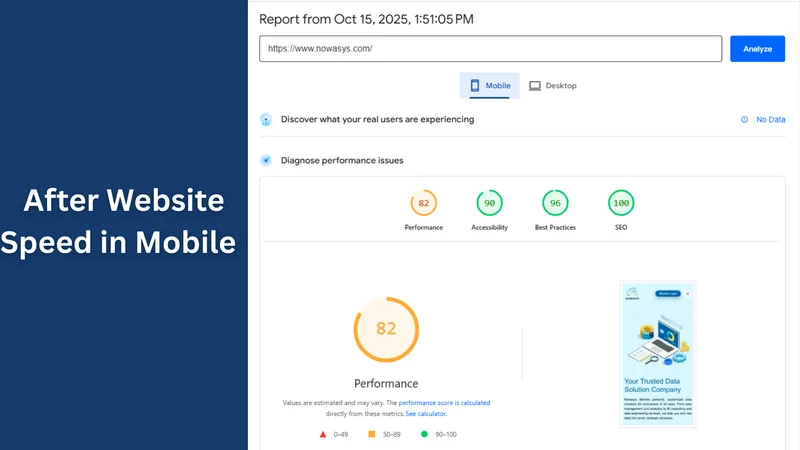 Nowasys — Website Performance Program · screenshot 4 of 6