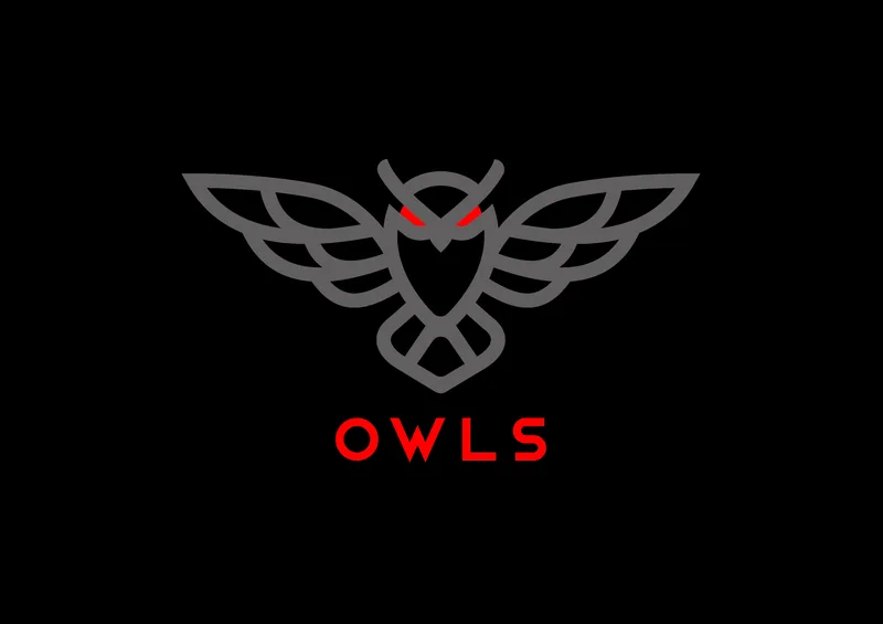 Owls Options Traders — Owls Lifetime · screenshot 1 of 1
