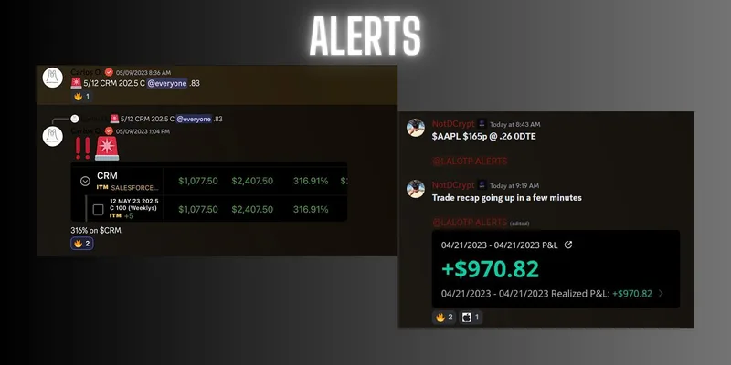 DCRYPT  — DCRYPT Premium · screenshot 2 of 6