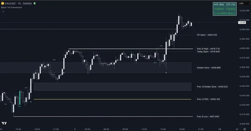 Black Tie Report — Black Tie Framework · screenshot 1 of 6