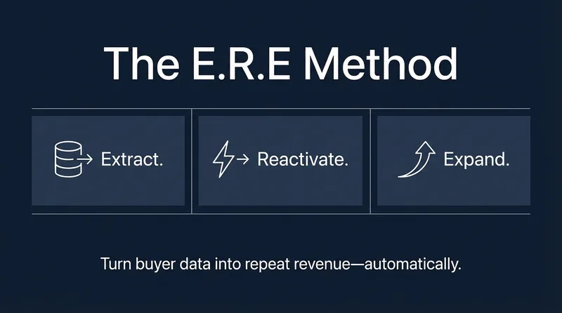 Nowasys — Email Revenue Engine – Nowasys · screenshot 4 of 5