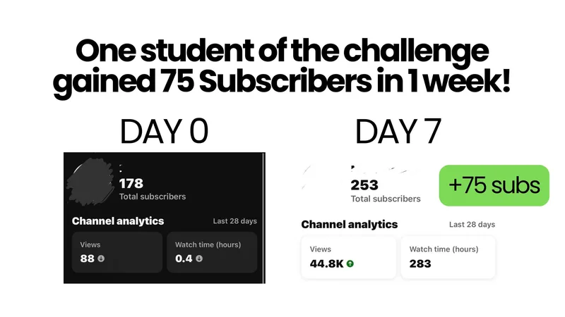 The FeminineMaxxing Community — 100 YT Subs 30 Day Challenge · screenshot 4 of 5