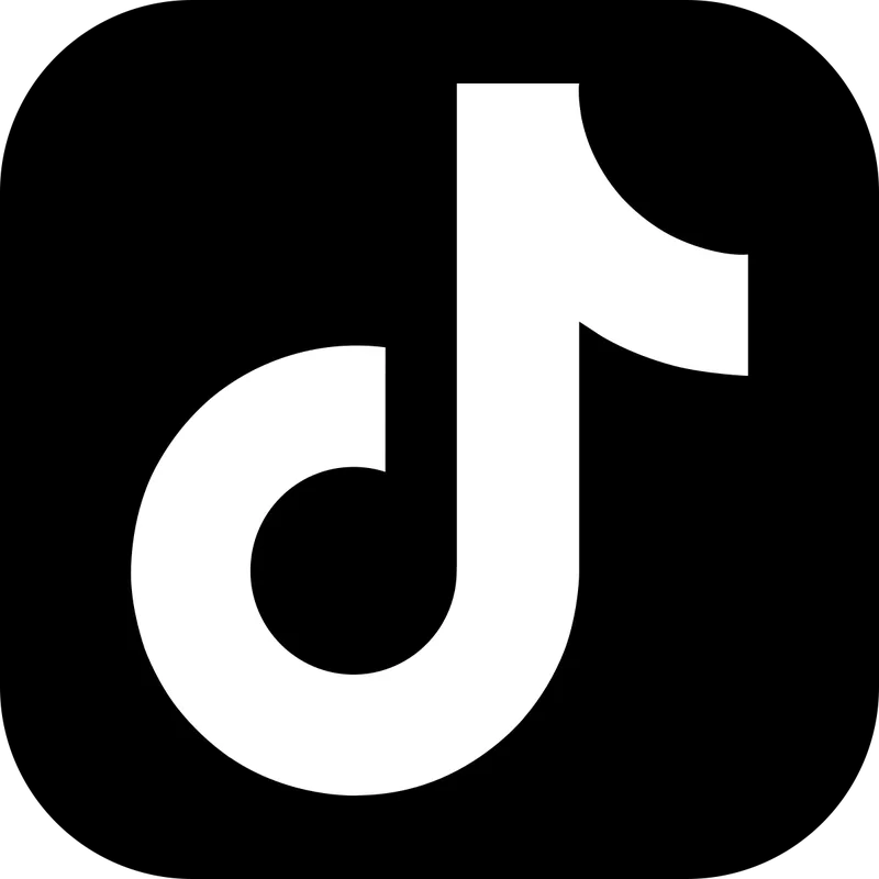 Meta Mastery — Tiktok Virality Ebook · screenshot 1 of 1