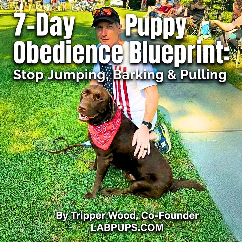 Tripper's Dog Training — 7-Day Puppy Training Blueprint · screenshot 1 of 2