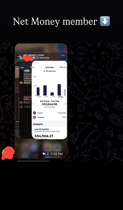 Net Money — Net Money Access · screenshot 3 of 4