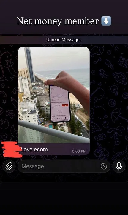 Net Money — Net Money Access · screenshot 4 of 4