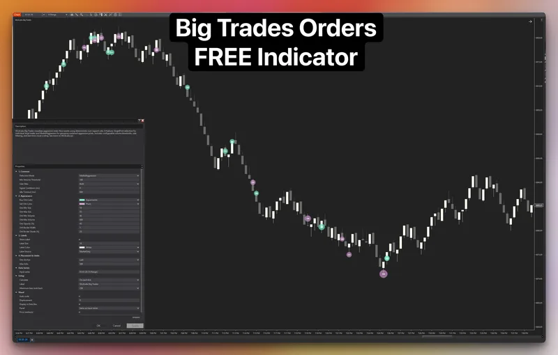WickLabs — Big Trades NinjaTrader Indicator FREE · screenshot 1 of 3