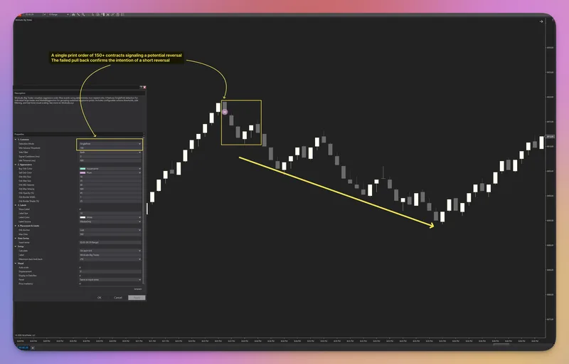 WickLabs — Big Trades NinjaTrader Indicator FREE · screenshot 3 of 3