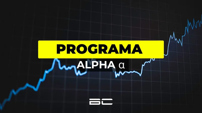 BORCEAN CAPITAL — Programa Alpha α · screenshot 1 of 1