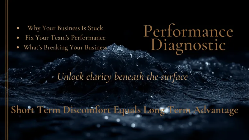 Searle Business Performance Diagnostic — Searle Business Diagnostics · screenshot 2 of 3