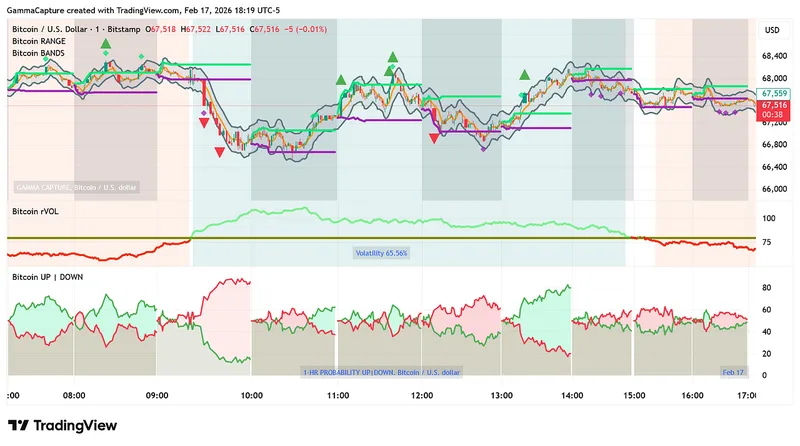 Gamma Capture — Gamma Capture Indicators - NinjaTrader · screenshot 5 of 5