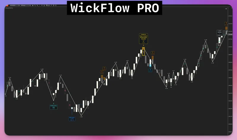 WickLabs — WickFlow PRO Orderflow for NT8 · screenshot 1 of 6