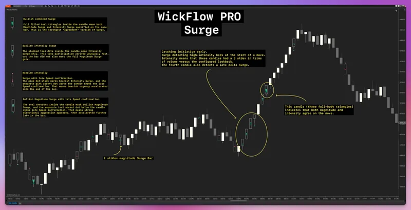 WickLabs — WickFlow PRO Orderflow for NT8 · screenshot 2 of 6