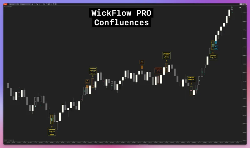 WickLabs — WickFlow PRO Orderflow for NT8 · screenshot 3 of 6