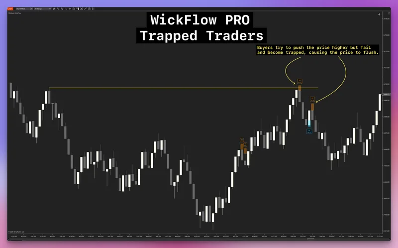 WickLabs — WickFlow PRO Orderflow for NT8 · screenshot 4 of 6