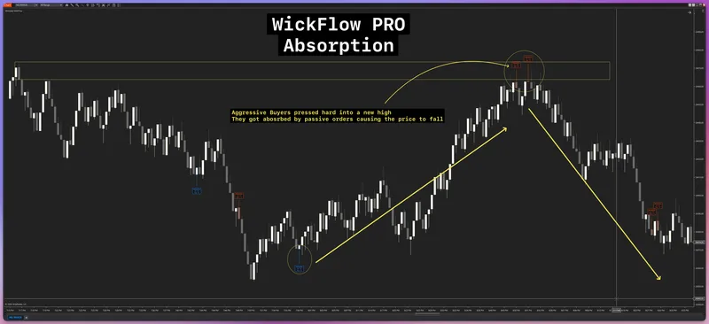 WickLabs — WickFlow PRO Orderflow for NT8 · screenshot 5 of 6