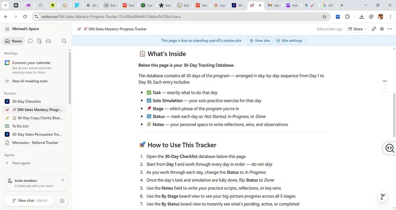 Blueprint Systems — DM Sales Mastery: Your Daily Action Guide · screenshot 2 of 3