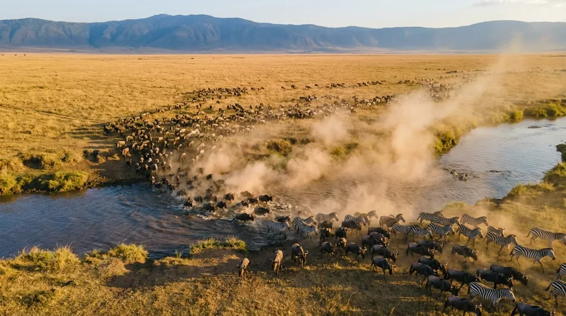 SafariExpo — Serengeti & Ngorongoro · screenshot 1 of 1