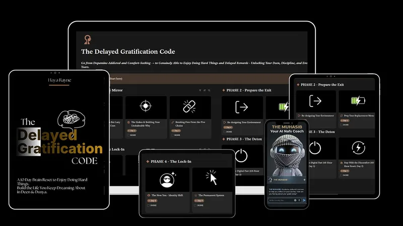 Haya Rayne — The Delayed Gratification Code · screenshot 1 of 1
