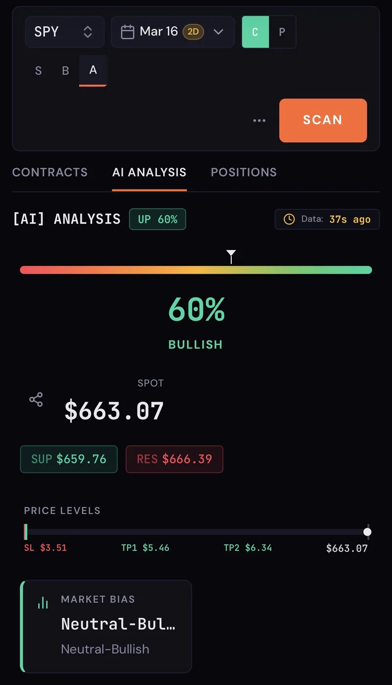 T3 Solutions  — T3 Terminal: Zero DTE · screenshot 3 of 4
