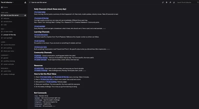 The AI Playbook — The AI Playbook · screenshot 2 of 2