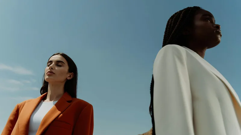 From Aesthetic to Authority — From Aesthetic to Authority · screenshot 1 of 1