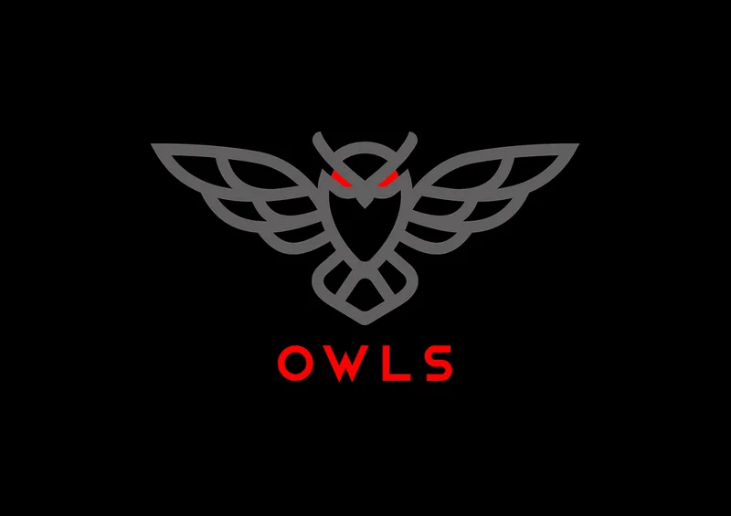 Owls Options Traders — Owls Options Traders - Twitter · screenshot 1 of 1