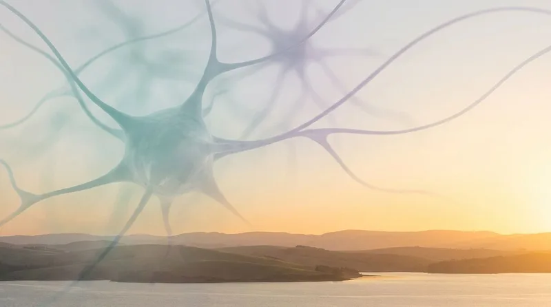 The Mental Lab — Mental Health Mastery · screenshot 1 of 1